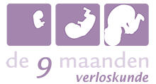 Verloskundigepraktijk Hierden Logo